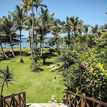 Jasmine La Playita - Ocean Front Lejlighed Las Galeras Eksteriør billede