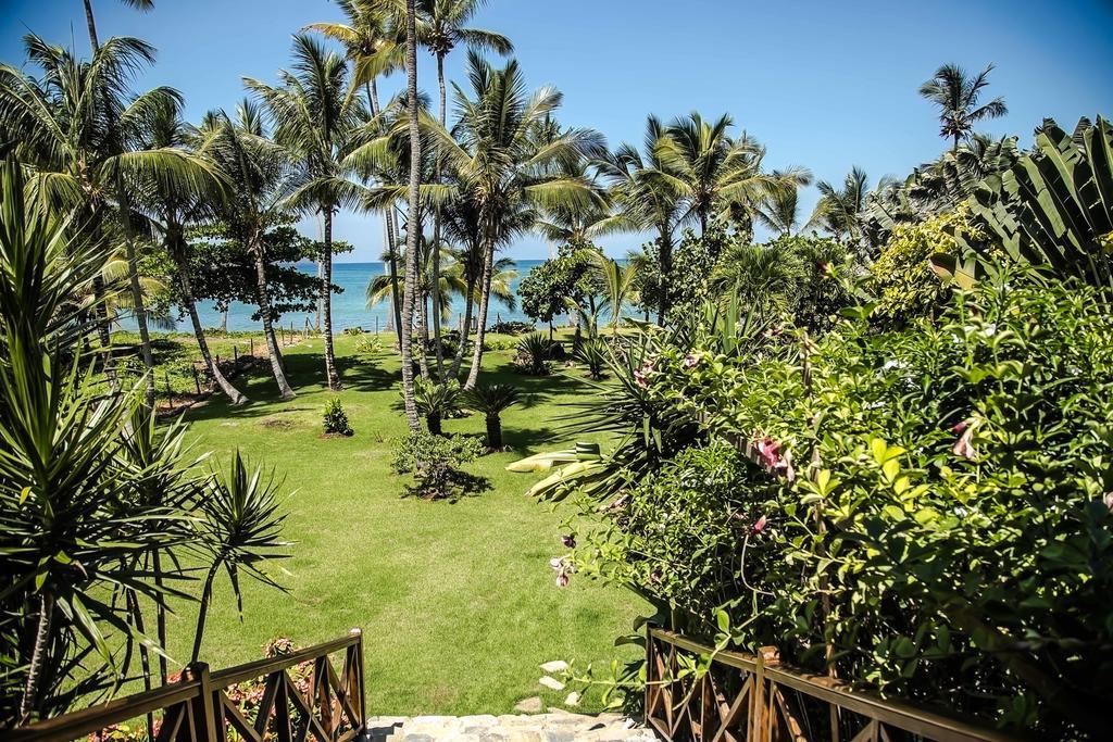 Jasmine La Playita - Ocean Front Lejlighed Las Galeras Eksteriør billede