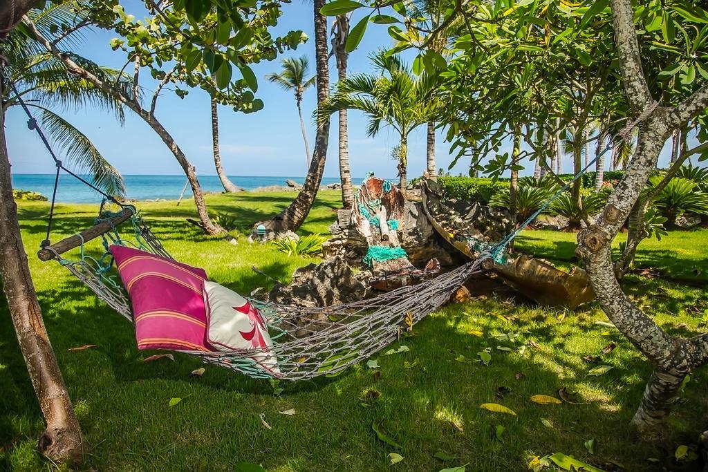 Jasmine La Playita - Ocean Front Lejlighed Las Galeras Eksteriør billede